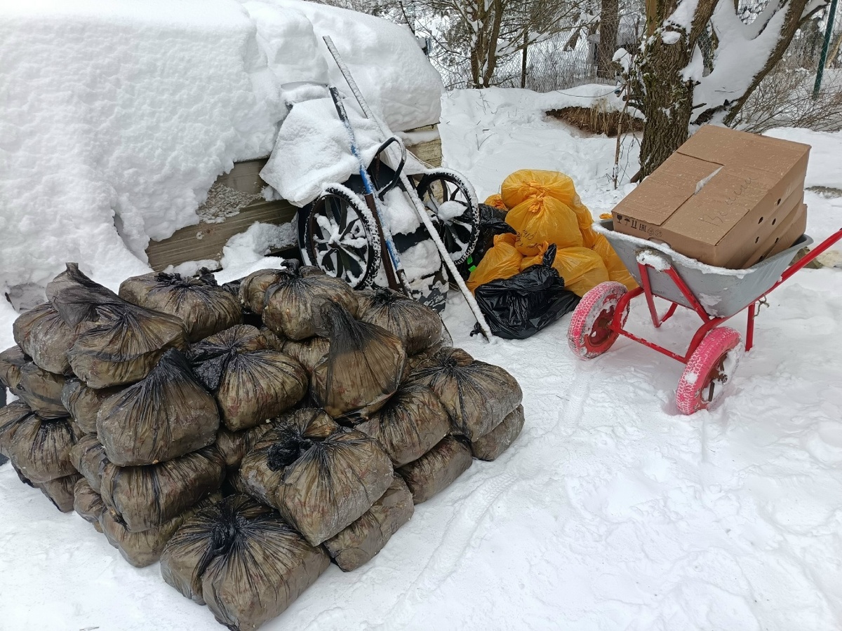 Корма на месяц для наших питомцев