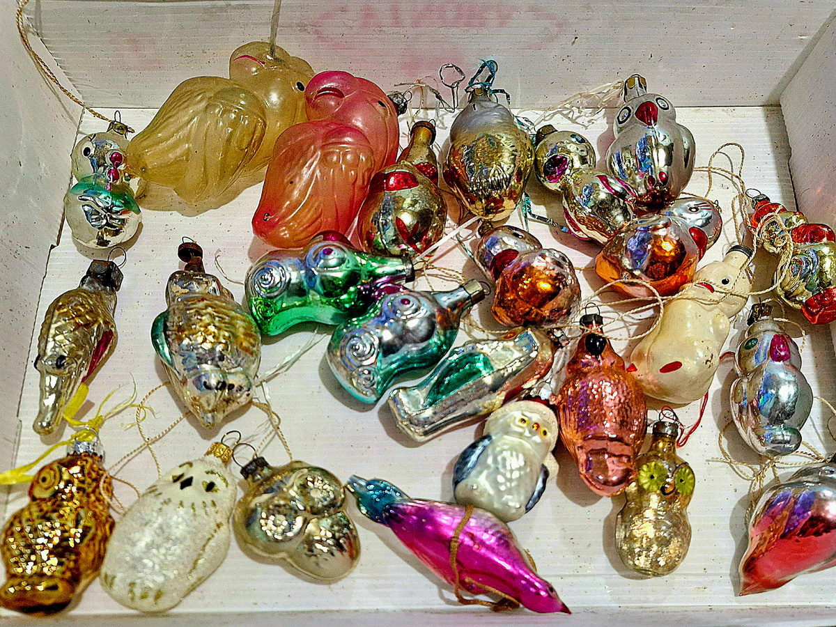 Фото автора 26