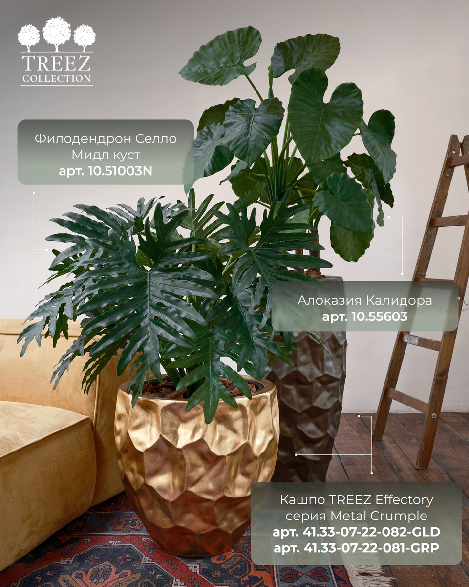 Кашпо и растения TREEZ Collection