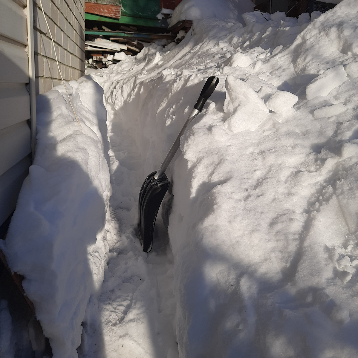 Откапываю только тропинку, в 1 лопату...