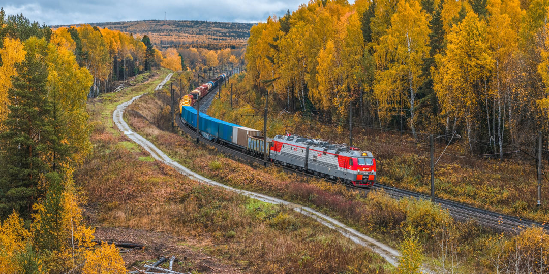 В РЖД рассказали, какие локомотивы купили в 2025 году