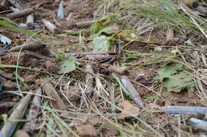 Под Ростовом нашли гильзу, которая сохранилась со времен Великой Отечественной войны