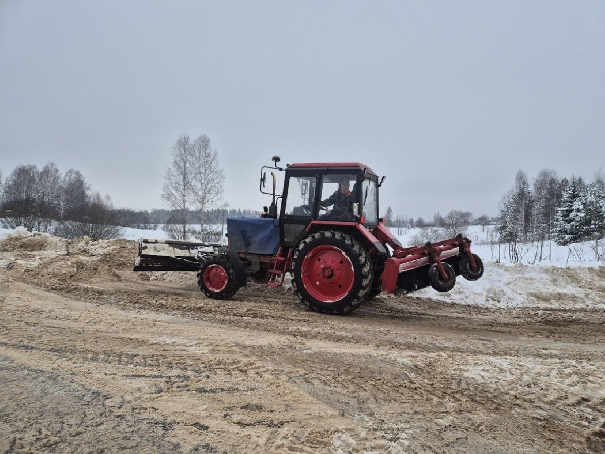    Фото: пресс-служба администрации Пушкинского г.о.