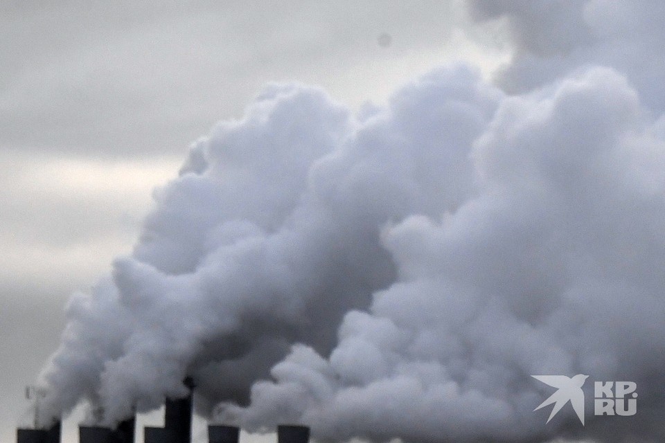    Чрезмерные выбросы оксида азота зафиксировали в Рязани специалисты 17 января. Михаил ФРОЛОВ