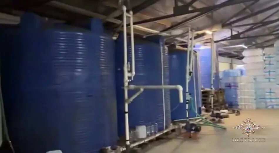    Фото: скриншот из видео официального представителя МВД России Ирины Волк.