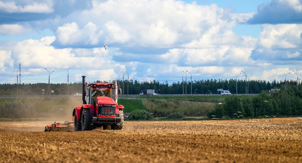    Уборка урожая картофеля в округе Коломна / Медиасток.рф