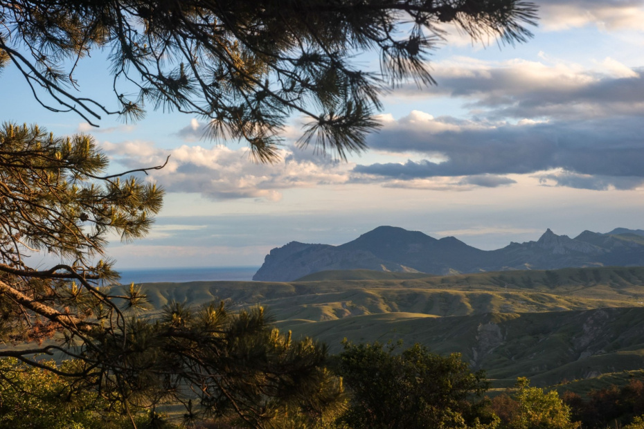    Сергей Петров/NEWS.ru
