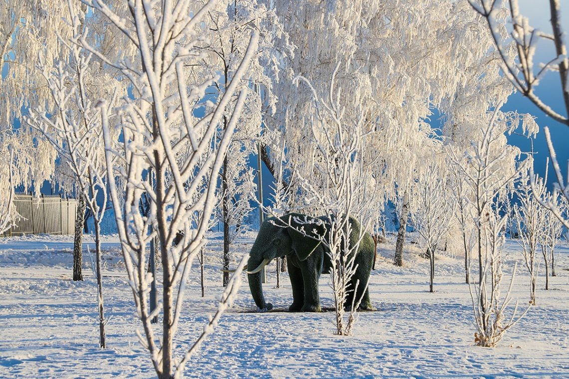 Зима в парке у Вечного огня