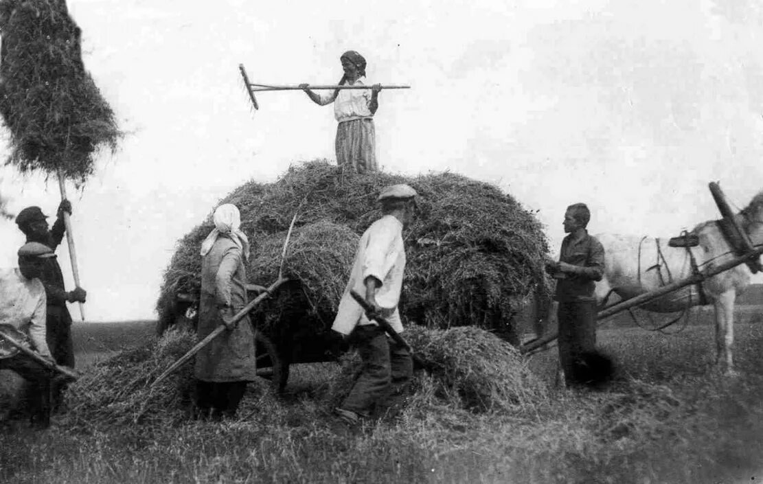 Взято из открытых источников интернета Яндекс.