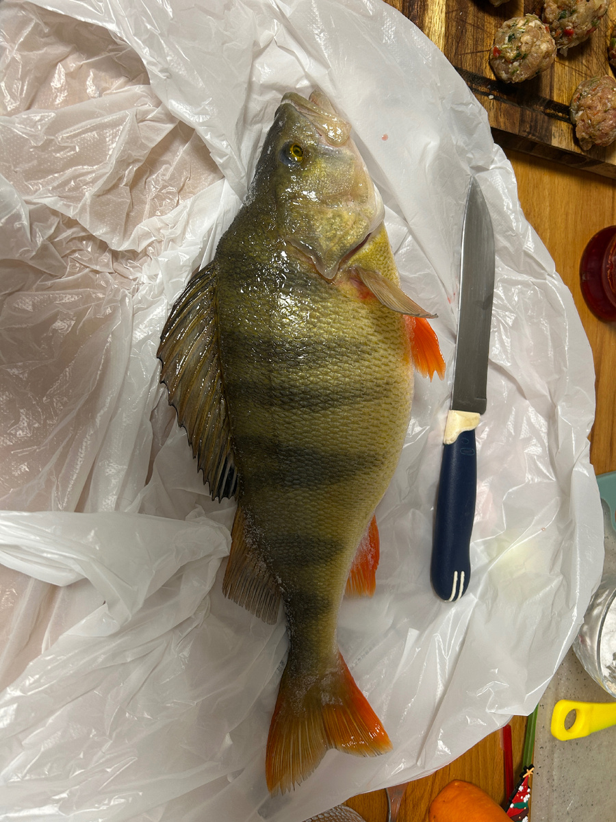 Толи жирный толь накаченный