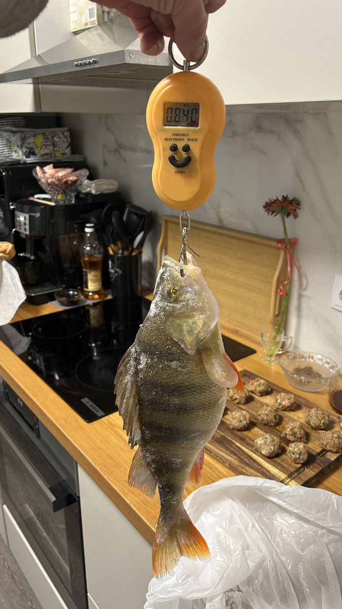 Как раз на один раз покушать