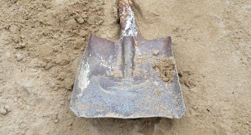    Ingram Publishing / Фотобанк Лори