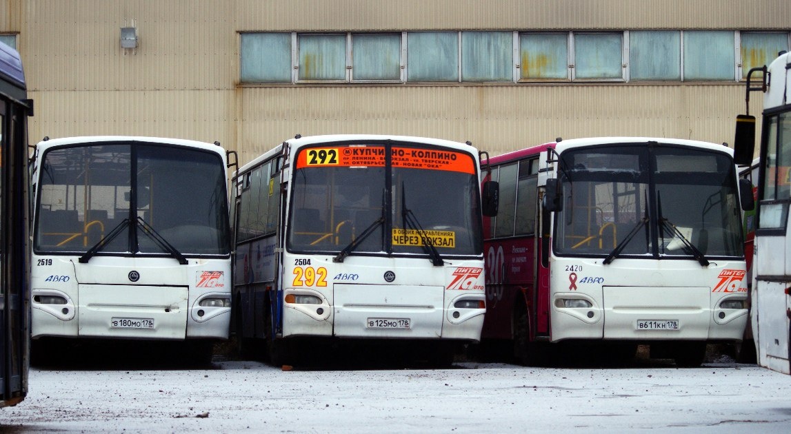 Маршрутки с логотипом «Питеравто». Источник: https://fotobus.msk.ru/photo/1039262/?
