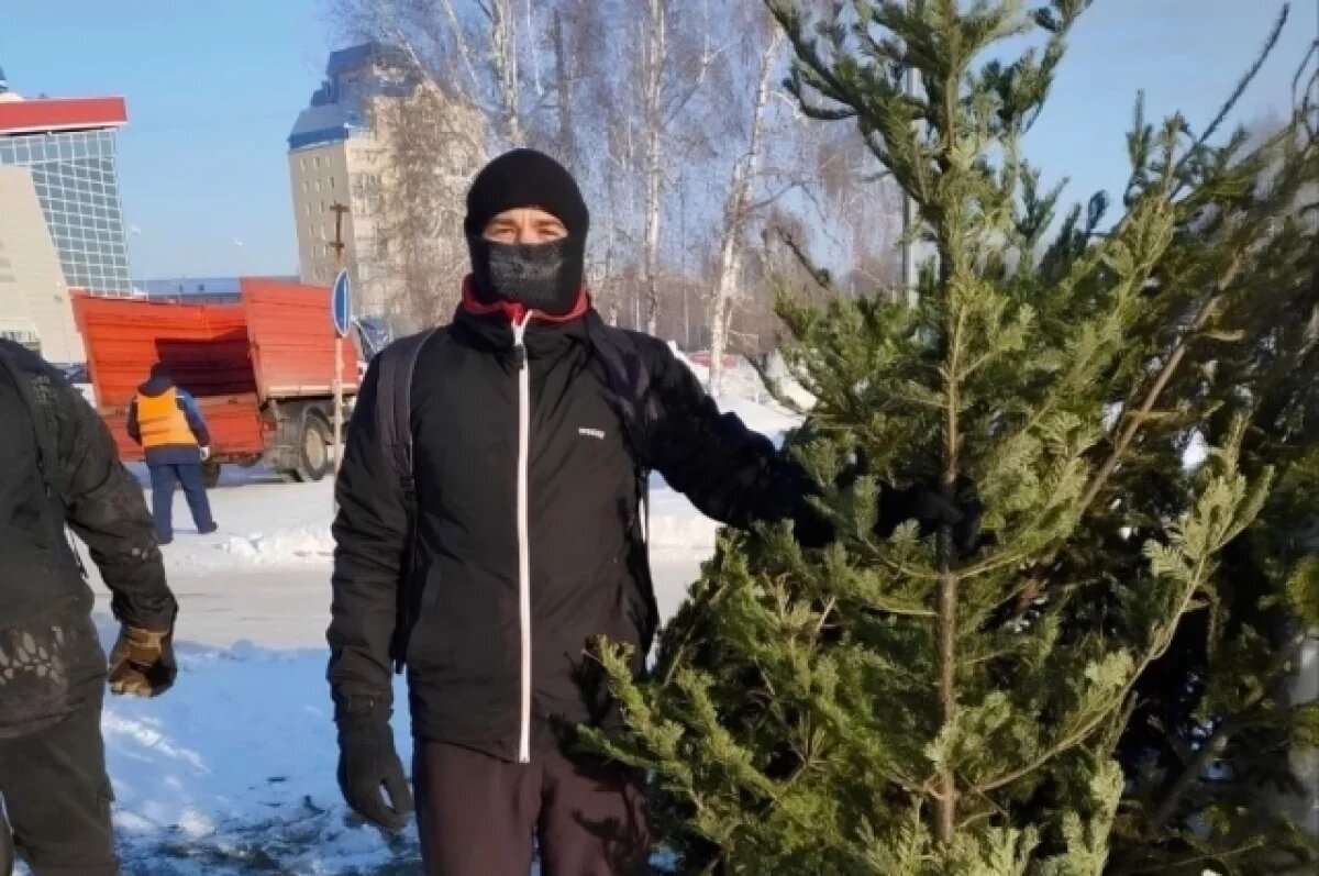    Барнаульцы сдали на переработку более 270 новогодних ёлок