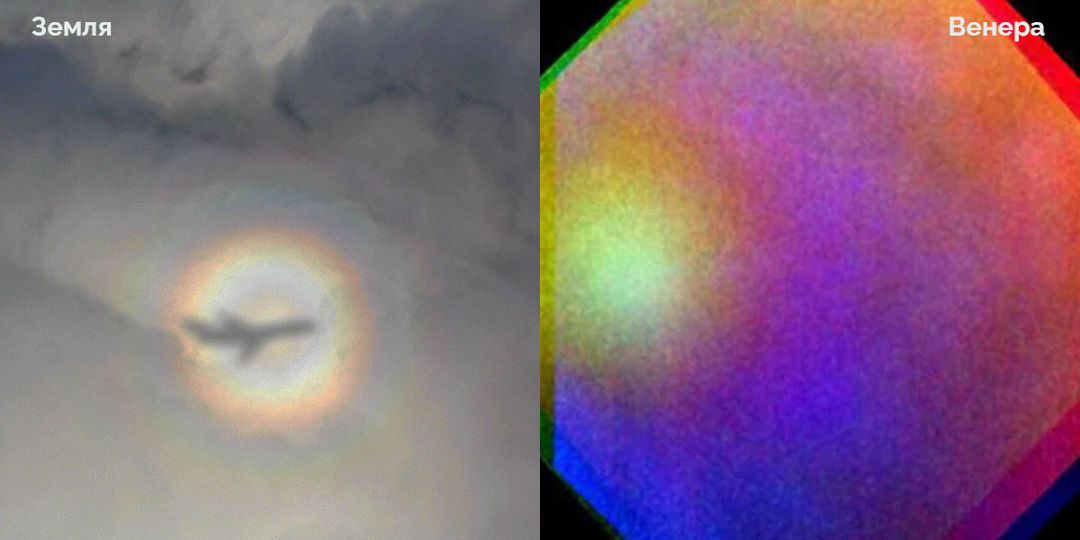 Глория на Венере и неврит бумажника — в подборке интересных фактов