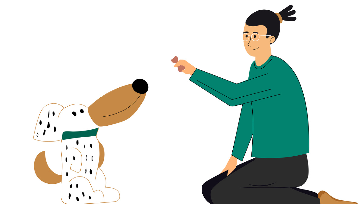 5 лайфхаков, как научить собаку командам