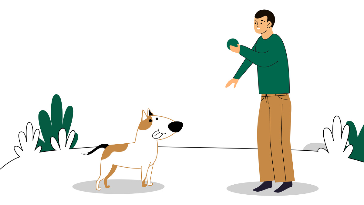 5 лайфхаков, как научить собаку командам