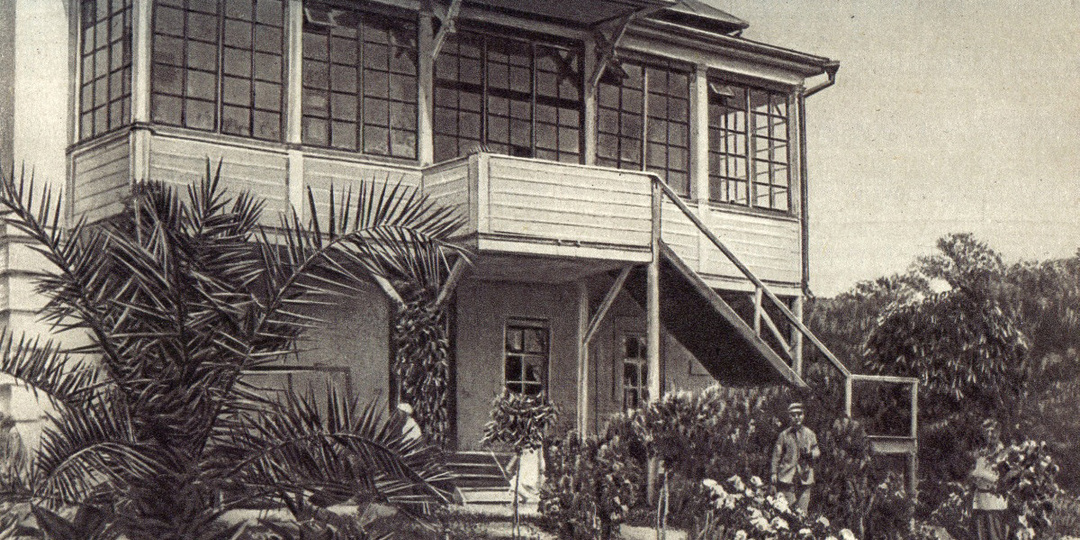 Посадить дерево: как Иван Мичурин выводил новые сорта