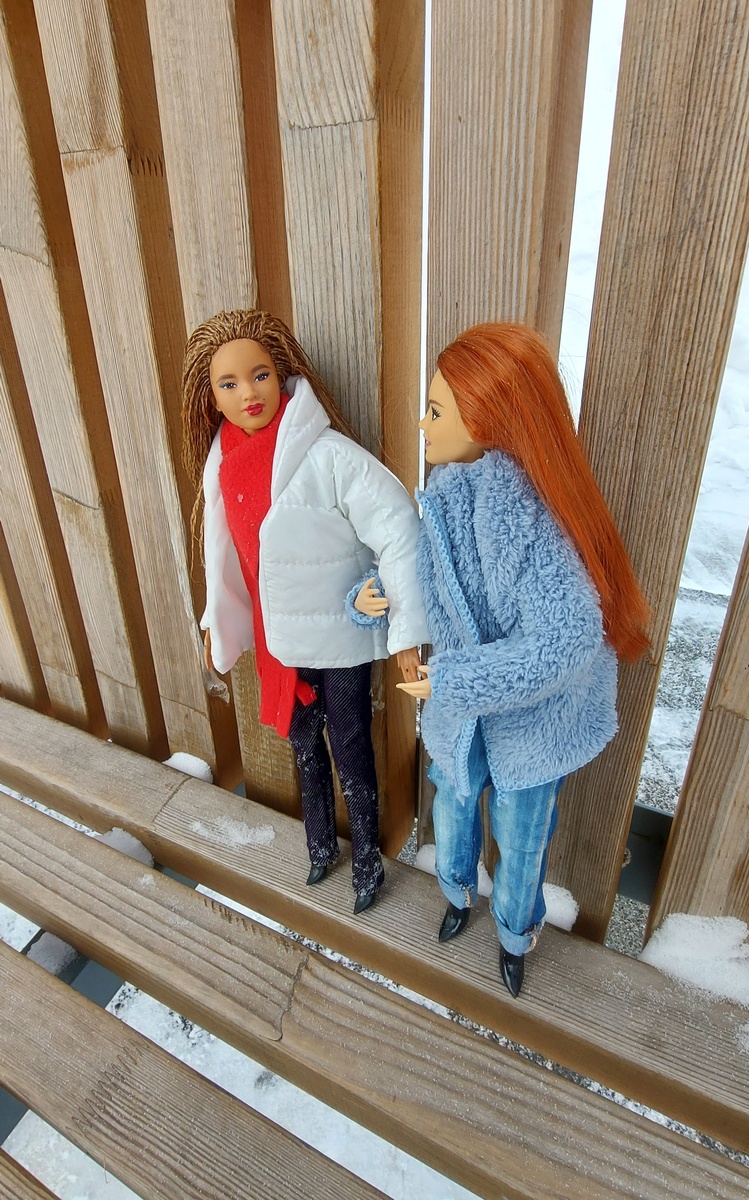 Тася уговаривает Киру на новое "приключение". Фото автора канала.