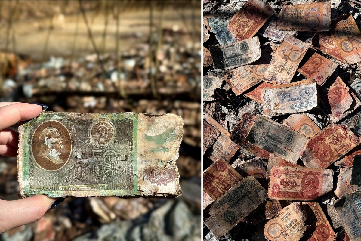    Девушка, специализирующая на путешествиях по разным заброшенным местам в России, нашла тонны бумажных денег под Владимиром. /vk.com/ Заброшки и путешествия