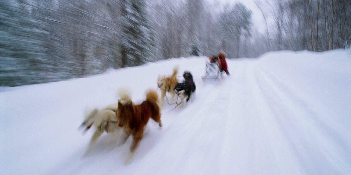 Getty Images/Layne Kennedy