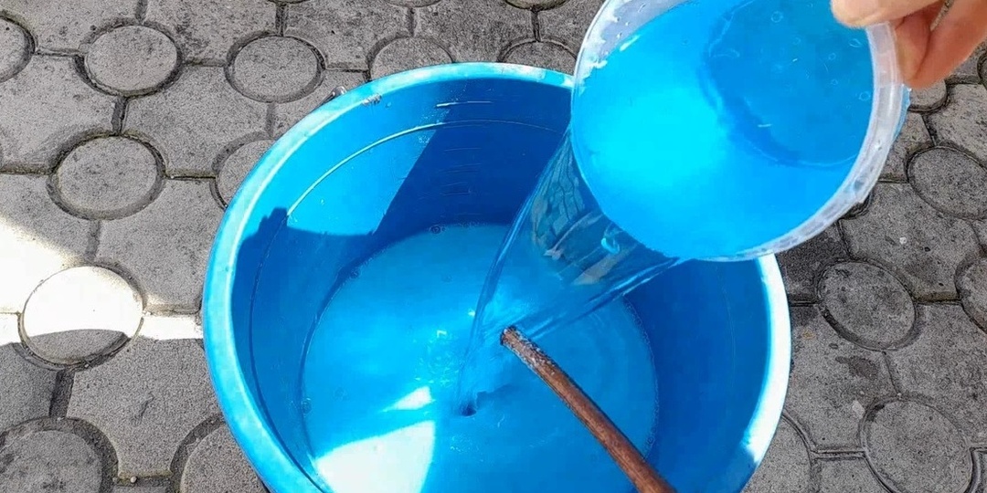 Подкармливаю яблони весной по схеме из 4 этапов. Урожай увеличился в 3 раза