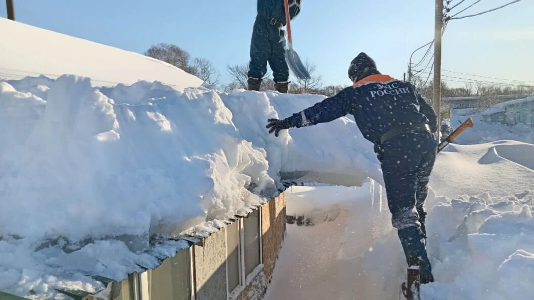    Фото: правительство Камчатского края.