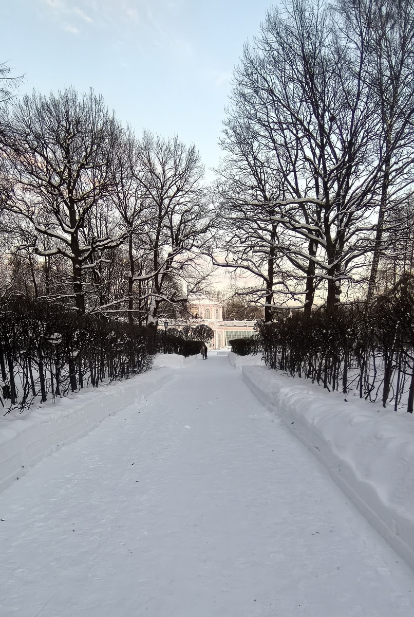 В Большой каменной оранжерее выставка "Королевский Копенгаген" до 29 ноября 2026 г. 