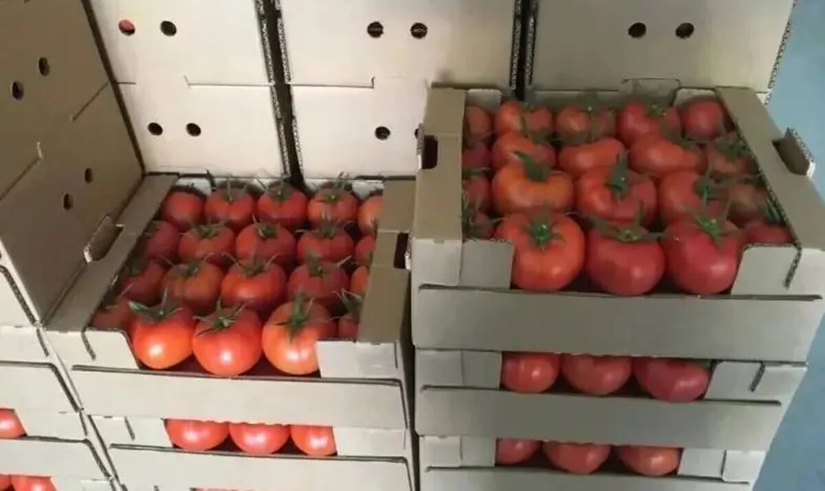    Фото t.me/rsn_yug