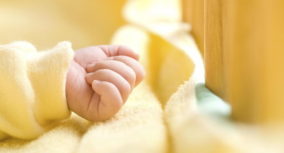    Lawrence Lu/imageBROKER.com / www.globallookpress.com