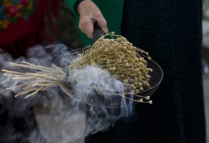 С этой травой я не боюсь сглаза: гармала или могильник