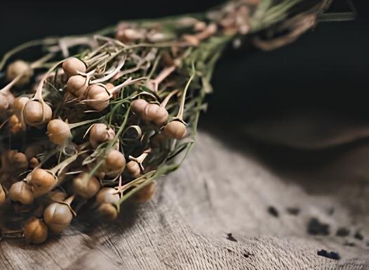 Не спешите проходить мимо: этот пучок гармалы веками охранял пороги домов от всего недоброго и незримого.