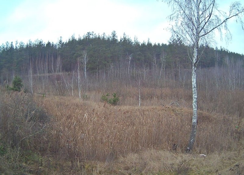     © фото - пресс-служба Управления Россельхознадзора по Орловской и Курской областям