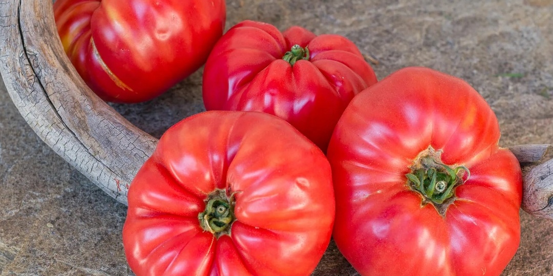 Отбираю крупноплодные томаты под свою теплицу. 8 сортов дают максимум