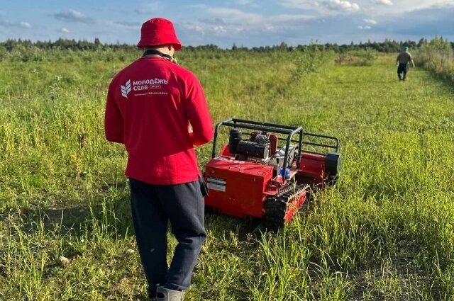    Первый экспериментальный сад Сергей Михайлов высадил шесть лет назад. Фото: предоставлено Сергеем Михайловым