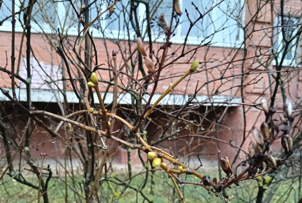    Анастасия Петрова