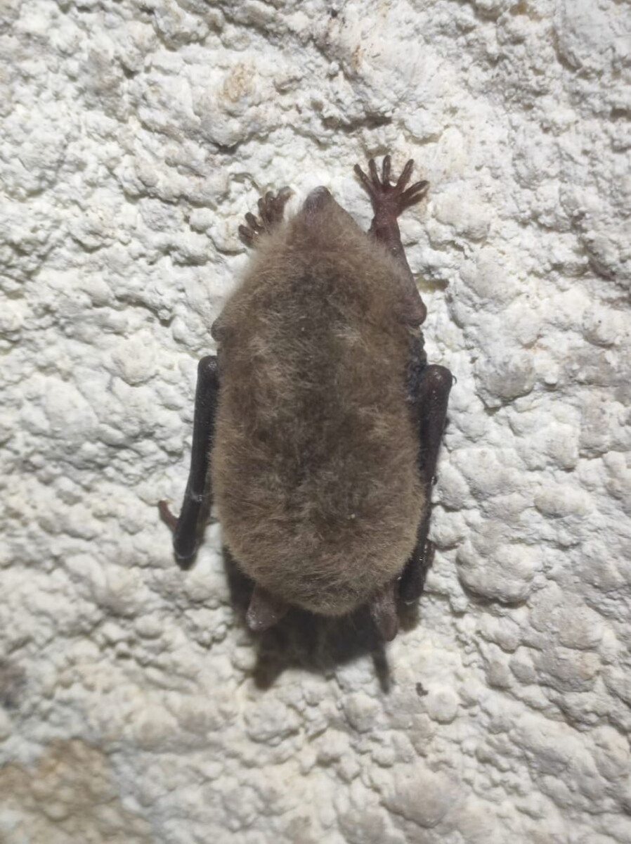 Фото департамент информполитики региона, све.рф