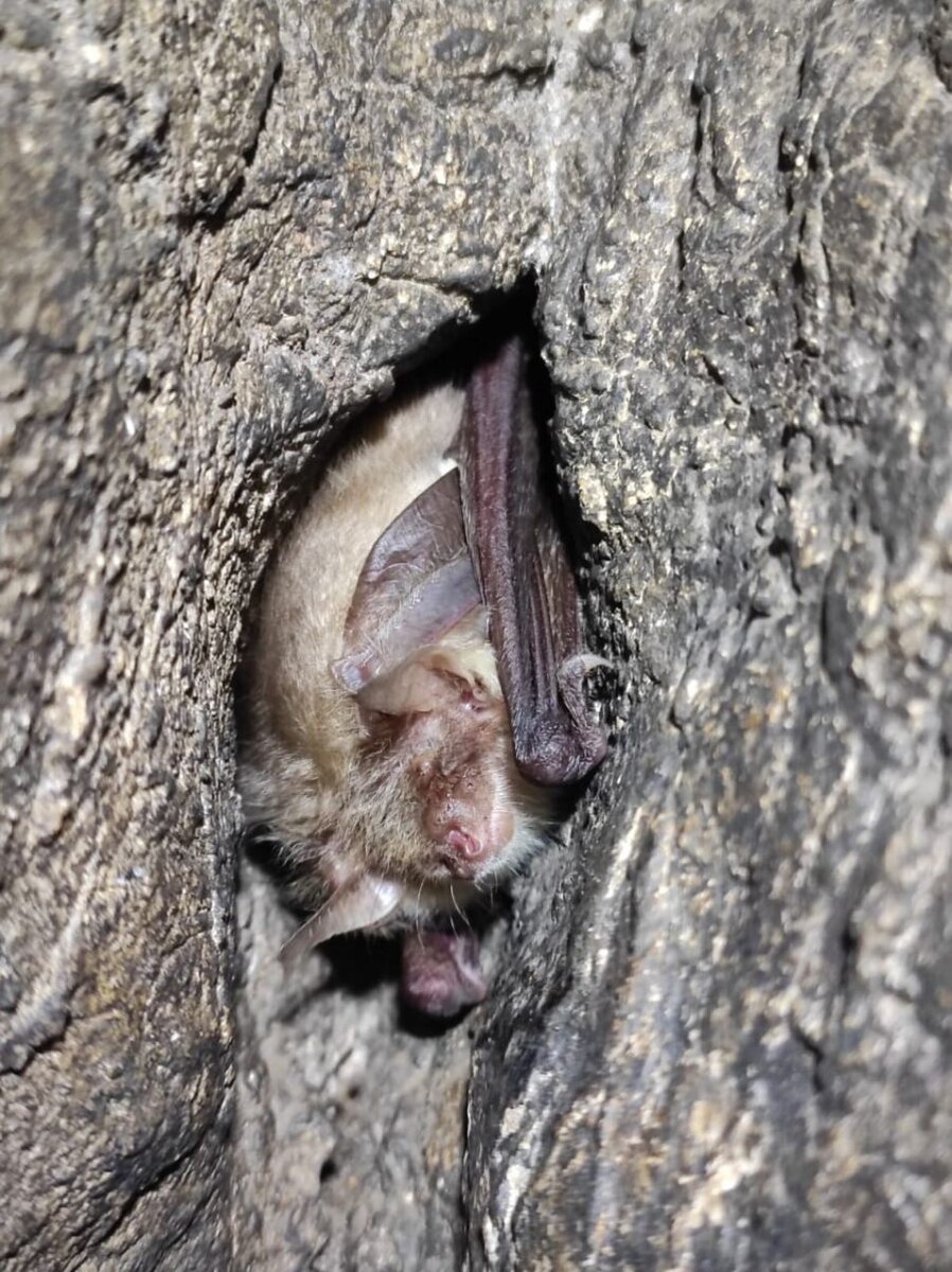 Фото департамент информполитики региона, све.рф