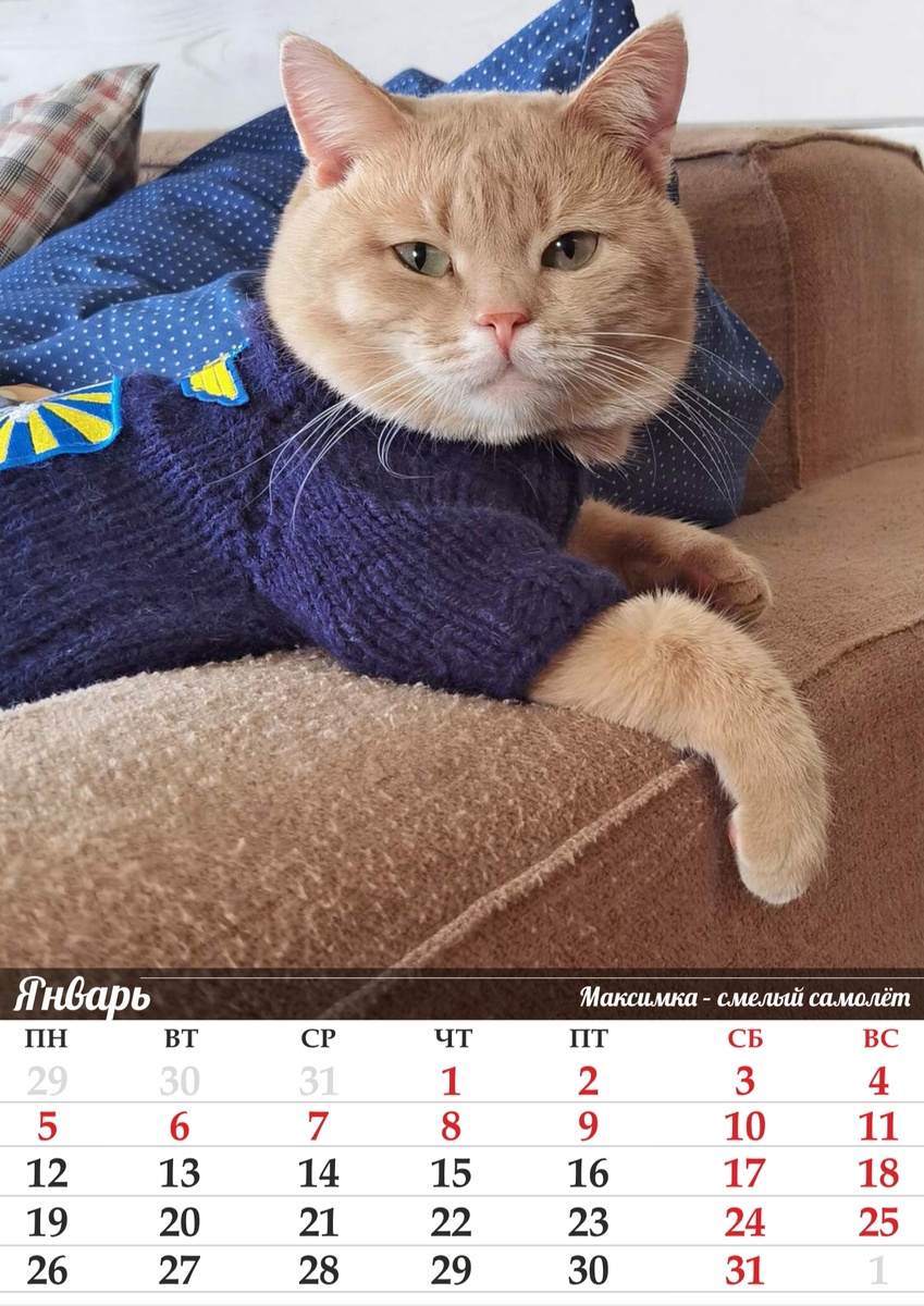 Глаз от этого красавчика не отвести, правда?