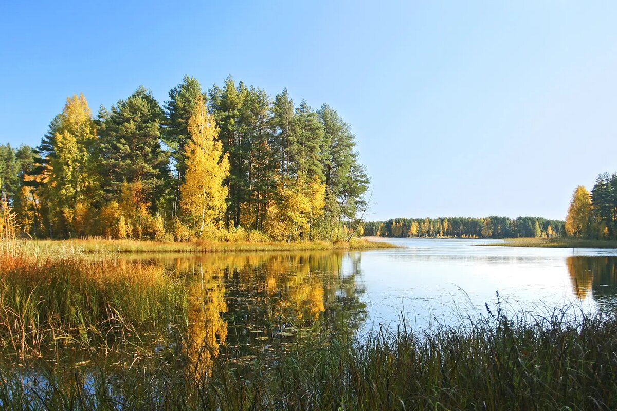     © РИА Новости. Юлий Ахромеев