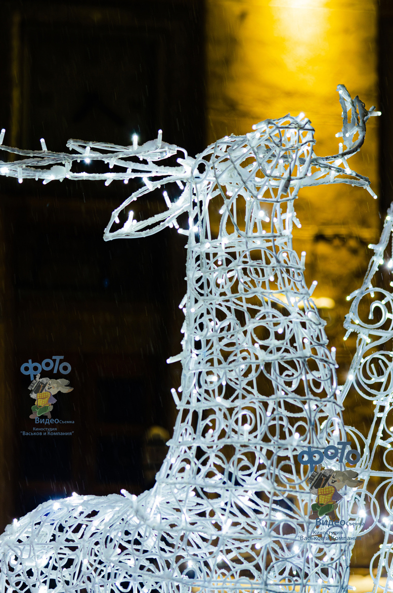 город Курск, Красная площадь, д. 8.