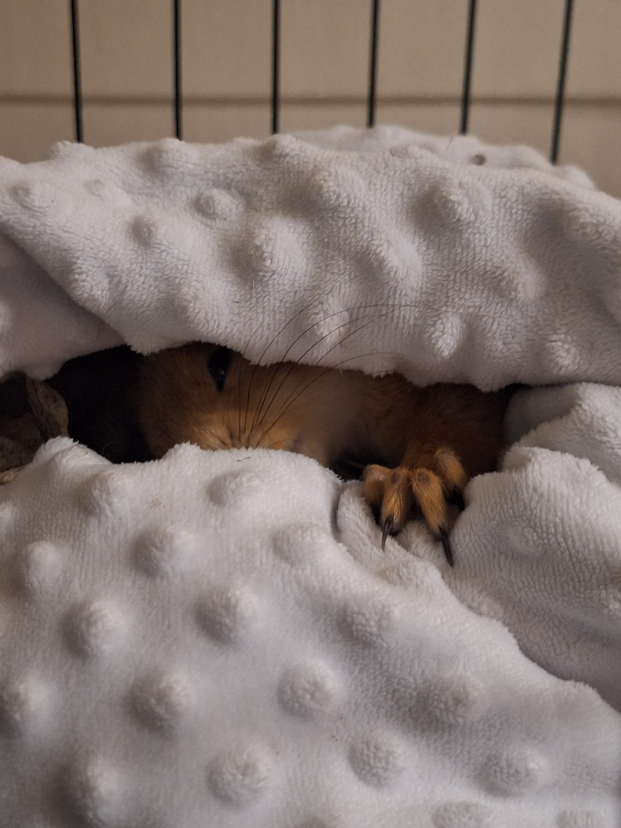 Знакомство