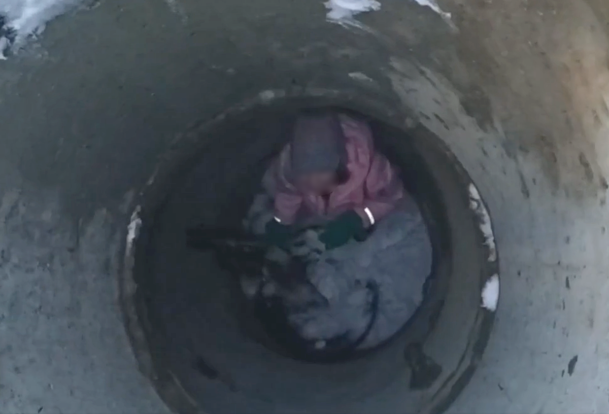     / Источник: Кадр из видео