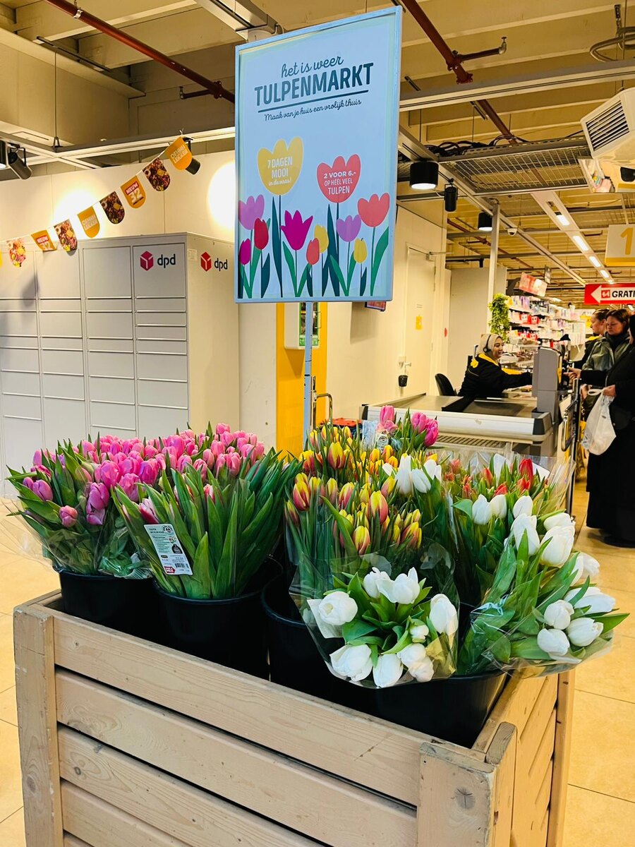 До сих пор удивляюсь тому, что тюльпаны в голландских магазинах уже в январе появляются/фото автора