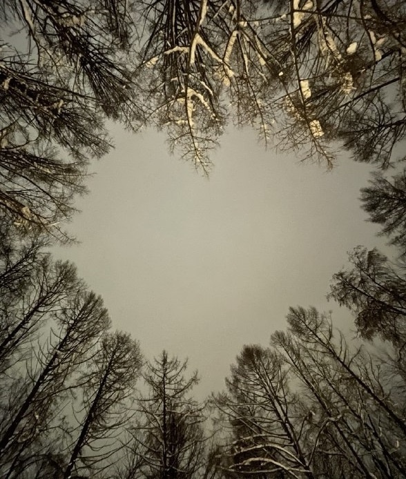 Сделали такое фото в любимом местечке парка. 