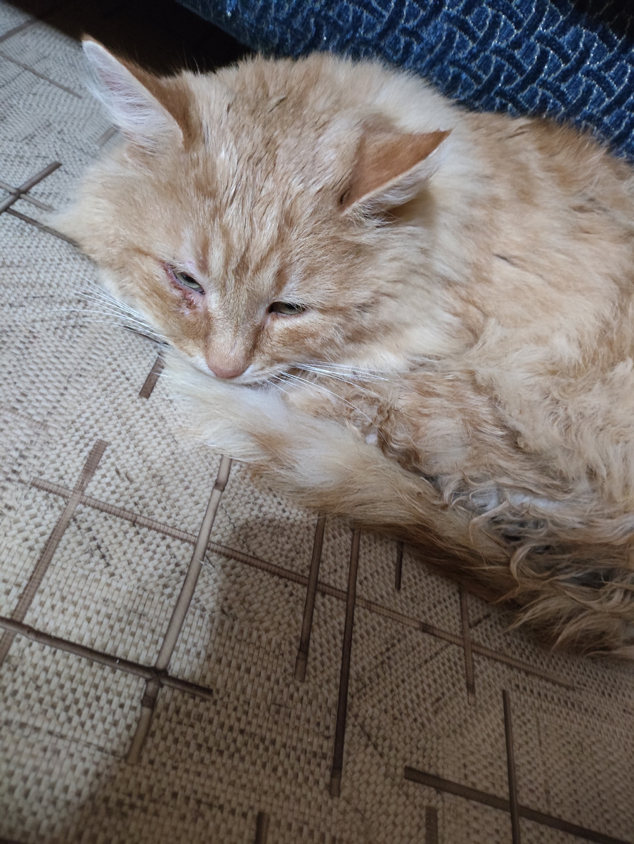 Привычное место