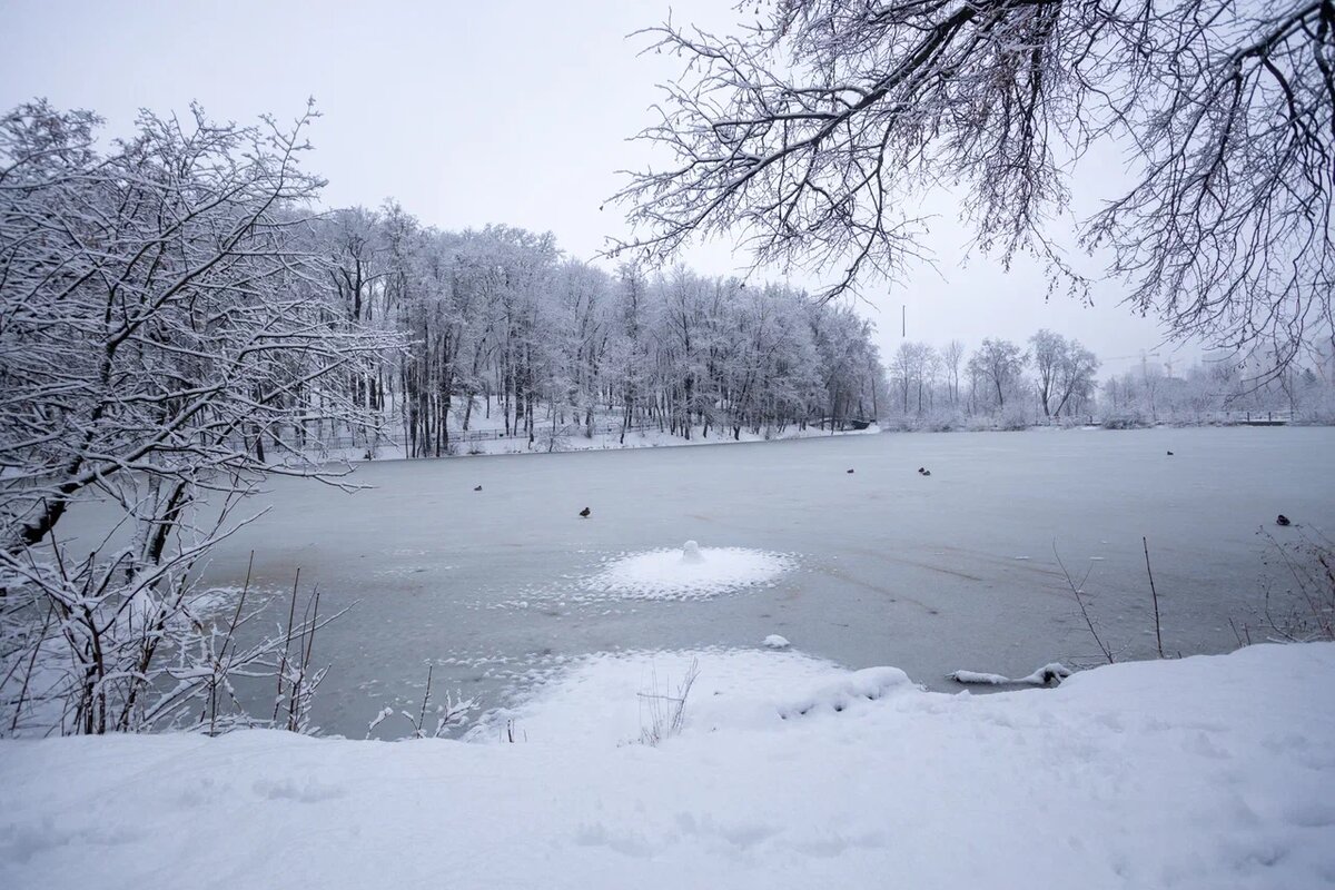 Фото: Тульская служба новостей
