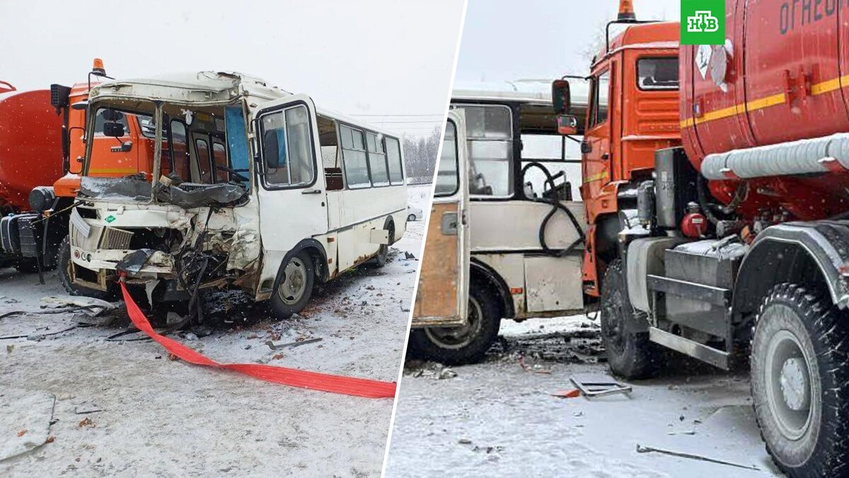    Фото: chelprocrf / t.me