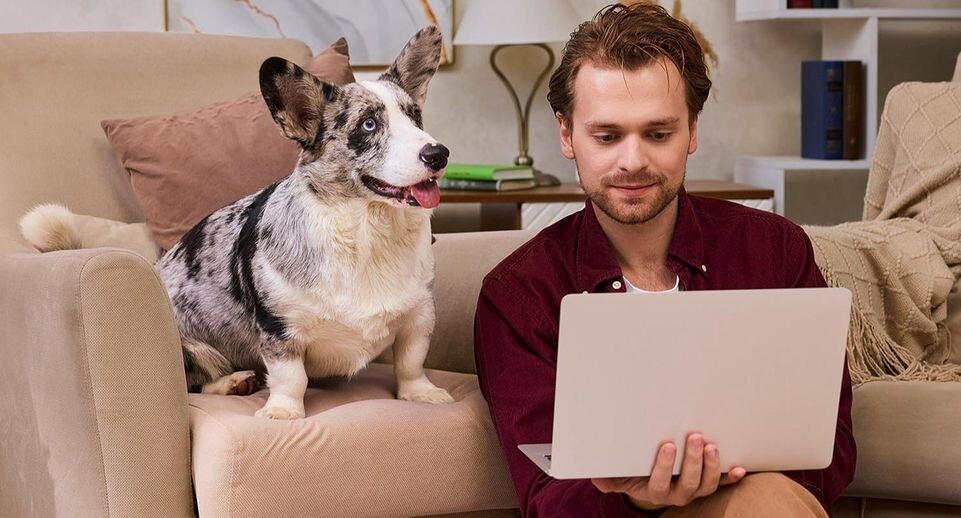    пресс-служба Департамента информационных технологий города Москвы