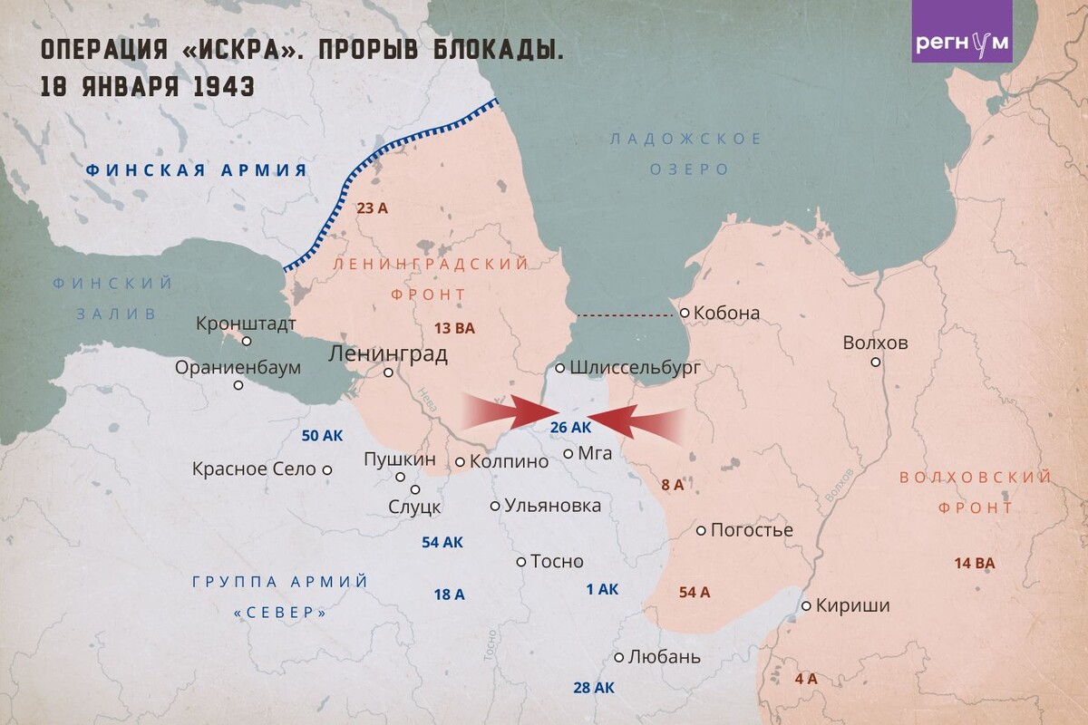     / Источник: Анна Рыжкова (с) ИА Регнум